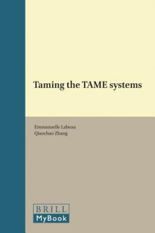 Könyv TAMING THE TAME SYSTEMS 