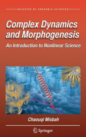Kniha Complex Dynamics and Morphogenesis Chaouqi Misbah