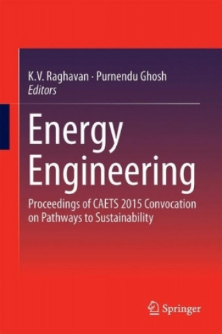 Książka Energy Engineering K. V. Raghavan