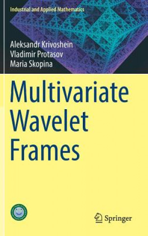 Buch Multivariate Wavelet Frames Maria Skopina