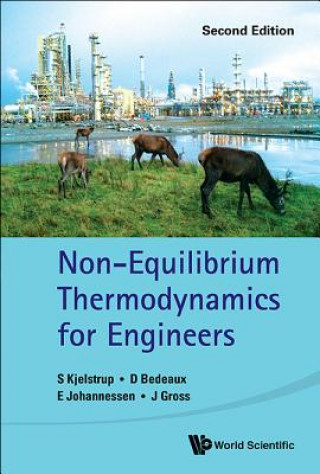 Knjiga Non-equilibrium Thermodynamics For Engineers Eivind Johannessen