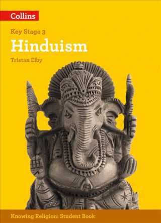 Kniha Hinduism Tristan Elby