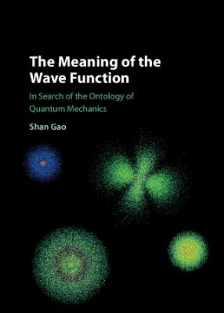 Kniha Meaning of the Wave Function Shan Gao