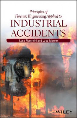 Kniha Principles of Forensic Engineering Applied to Industrial Accidents Luca Fiorentini