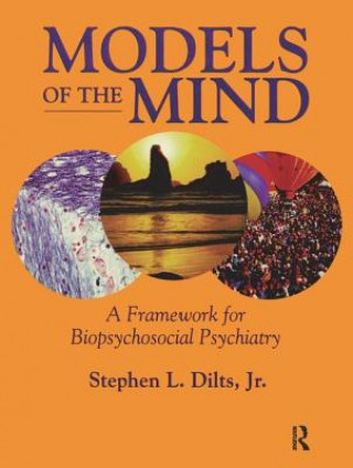 Carte Models of the Mind DILTS