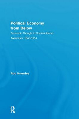 Kniha Political Economy from Below KNOWLES