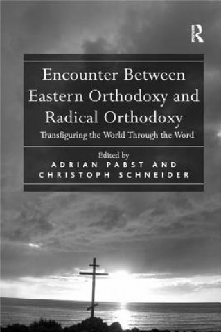 Könyv Encounter Between Eastern Orthodoxy and Radical Orthodoxy Schneider
