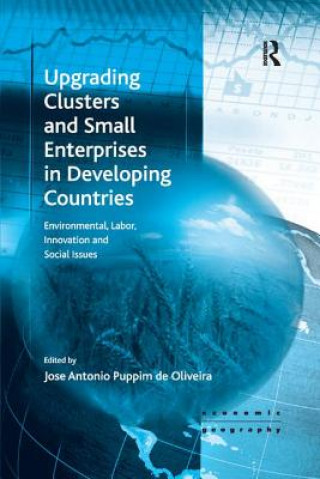 Knjiga Upgrading Clusters and Small Enterprises in Developing Countries 