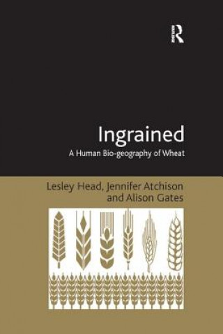 Knjiga Ingrained HEAD