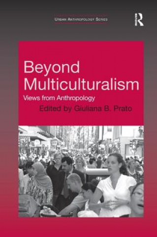 Книга Beyond Multiculturalism 