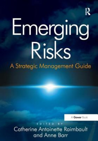 Kniha Emerging Risks BARR