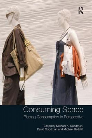 Book Consuming Space Michael K. Goodman