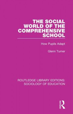 Könyv Social World of the Comprehensive School Glenn Turner