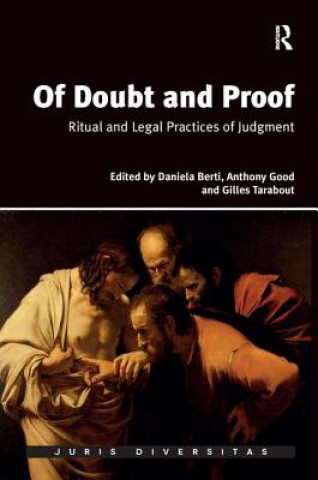 Kniha Of Doubt and Proof Daniela Berti