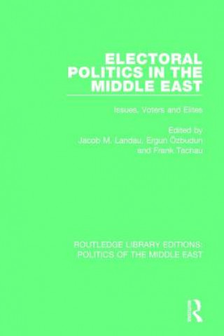 Kniha Electoral Politics in the Middle East 