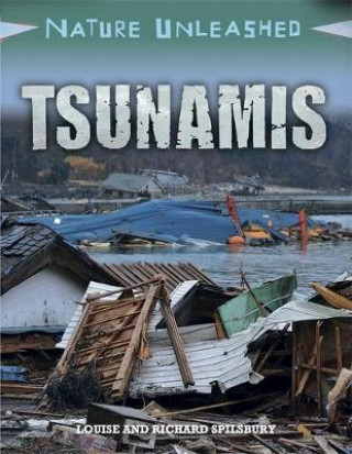 Carte Nature Unleashed: Tsunamis Louise Spilsbury