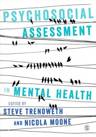 Könyv Psychosocial Assessment in Mental Health STEVE TRENOWETH
