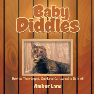 Könyv Baby Diddles AMBER LANE