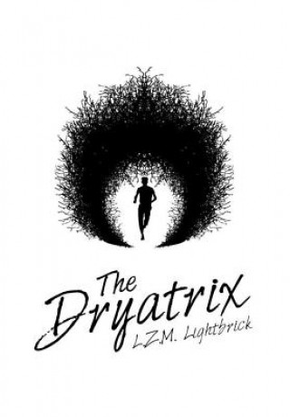 Knjiga Dryatrix L Z M Lightbrick
