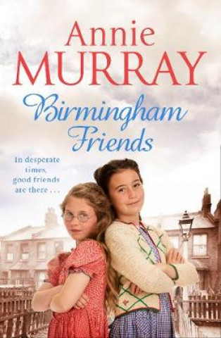 Książka Birmingham Friends Annie Murray