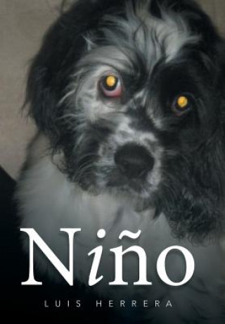 Libro Nino Luis Herrera