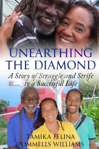 Book Unearthing the Diamond Tamika Felina Pommells Williams