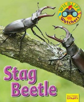 Kniha Wildlife Watchers: Stag Beetle Ruth Owen