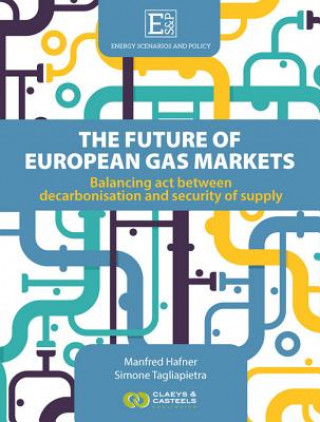 Kniha Energy Scenarios and Policy, Volume I: The future of European Gas Markets Manfred Hafner