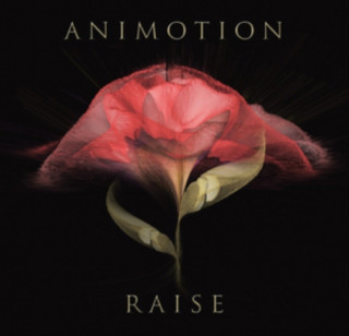 Audio Raise Your Expectations Animotion