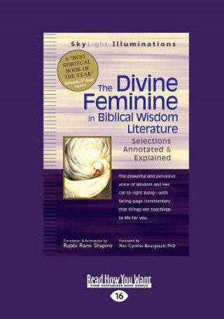 Kniha DIVINE FEMININE IN BIBLICAL WI Rabbi Rami Shapiro