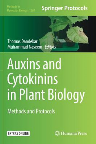 Könyv Auxins and Cytokinins in Plant Biology Thomas Dandekar