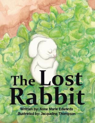 Knjiga Lost Rabbit Anne Marie Edwards