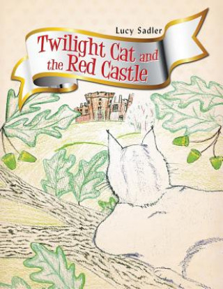 Könyv Twilight Cat and the Red Castle Lucy Sadler