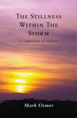 Könyv Stillness Within The Storm Mark Osmer