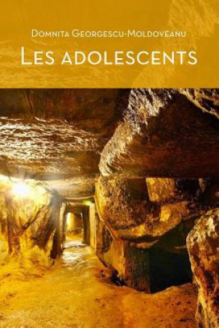 Könyv Les Adolescents (Coeur D'or) Domnita Georgescu-Moldoveanu