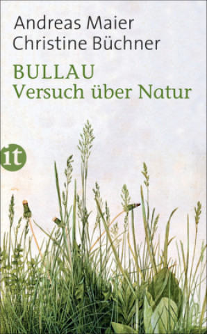 Kniha Bullau Andreas Maier