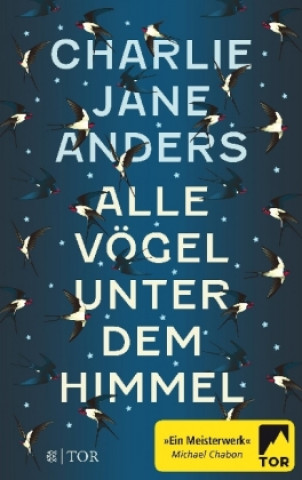 Knjiga Alle Vögel unter dem Himmel Charlie Jane Anders