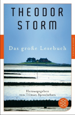 Kniha Das große Lesebuch Theodor Storm