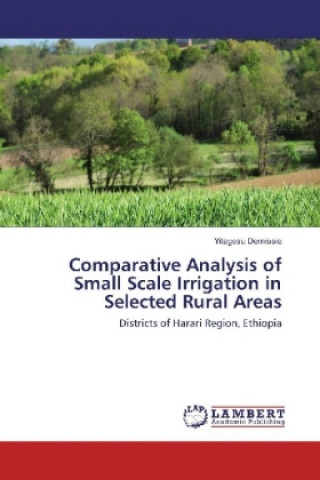 Książka Comparative Analysis of Small Scale Irrigation in Selected Rural Areas Yitagesu Demissie