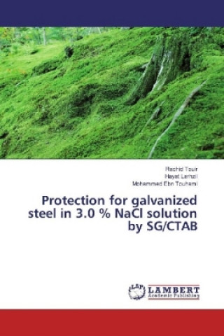 Carte Protection for galvanized steel in 3.0 % NaCl solution by SG/CTAB Rachid Touir