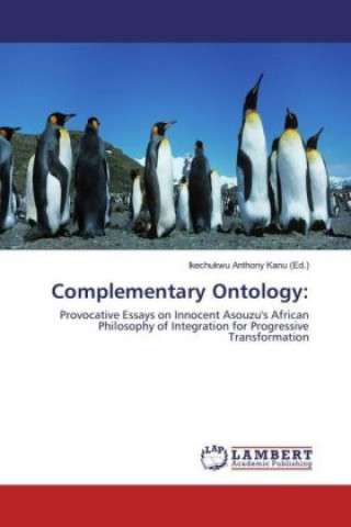 Könyv Complementary Ontology: Ikechukwu Anthony Kanu