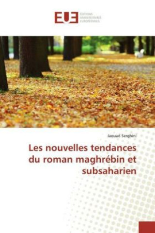 Buch Les nouvelles tendances du roman maghrébin et subsaharien Jaouad Serghini