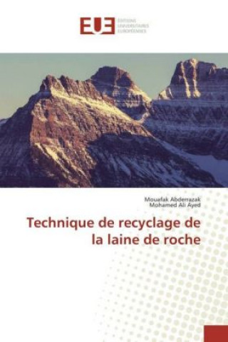 Carte Technique de recyclage de la laine de roche Mouafak Abderrazak