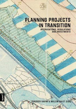 Buch Planning Projects in Transition Federico Savini