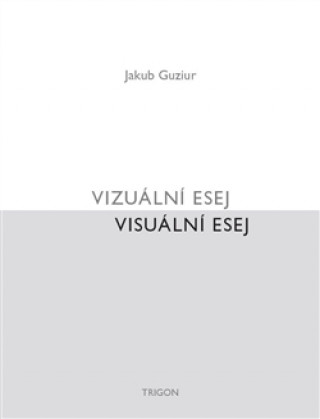 Książka Vizuální esej / Visuální esej Jakub Guziur