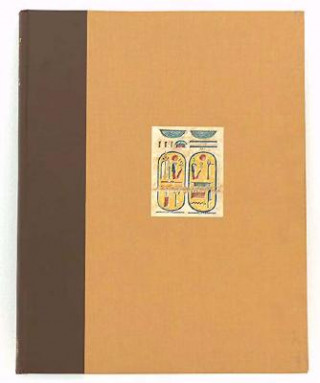Kniha Medinet Habu, Volume VIII Epigraphic Survey