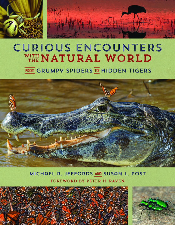 Carte Curious Encounters with the Natural World Michael Jeffords