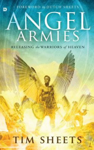 Livre Angel Armies TIM SHEETS