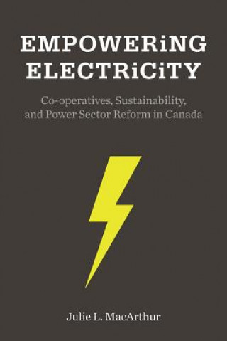 Buch Empowering Electricity Julie MacArthur