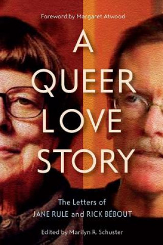 Kniha Queer Love Story Marilyn R. Schuster